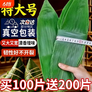 粽叶新鲜粽子叶特大号包粽子专用粽绳叶端午干叶棕叶商用真空糯米
