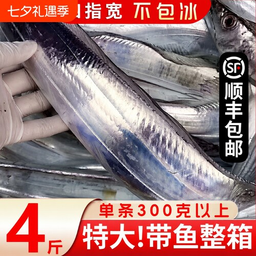 舟山带鱼特大东海南海雷达整条冷冻新鲜整箱海钓刀鱼深海海捕水产