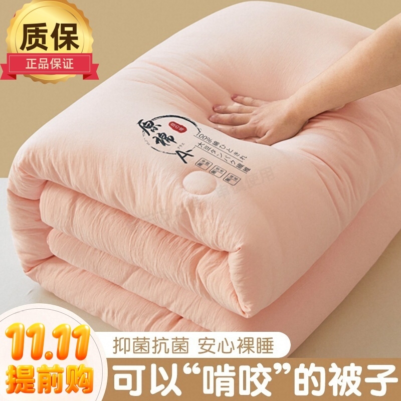 大豆纤维加厚被芯|超5000次加购