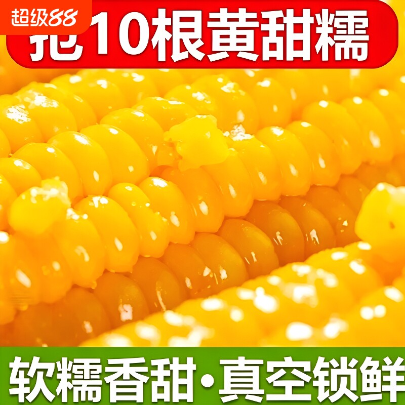东北黄糯玉米新鲜甜糯玉米黑龙江黏玉米软糯香甜低脂真空包装10根