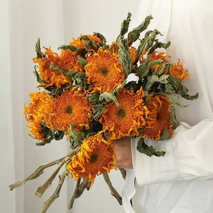 泰迪向日葵干花花束客厅摆设插花干枝天然风干花永生花装饰摆件