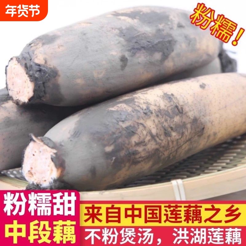 不粉包赔正宗湖北粉藕洪湖莲藕新鲜煲汤粉藕面藕红藕粉糯米藕九孔,水产肉类/新鲜蔬果/熟食,莲藕,淘宝优惠券,粉丝福利购,淘宝优惠卷