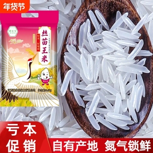 新店促销丝苗王香米大米20斤新米长粒米1斤批发苗米小包装优质