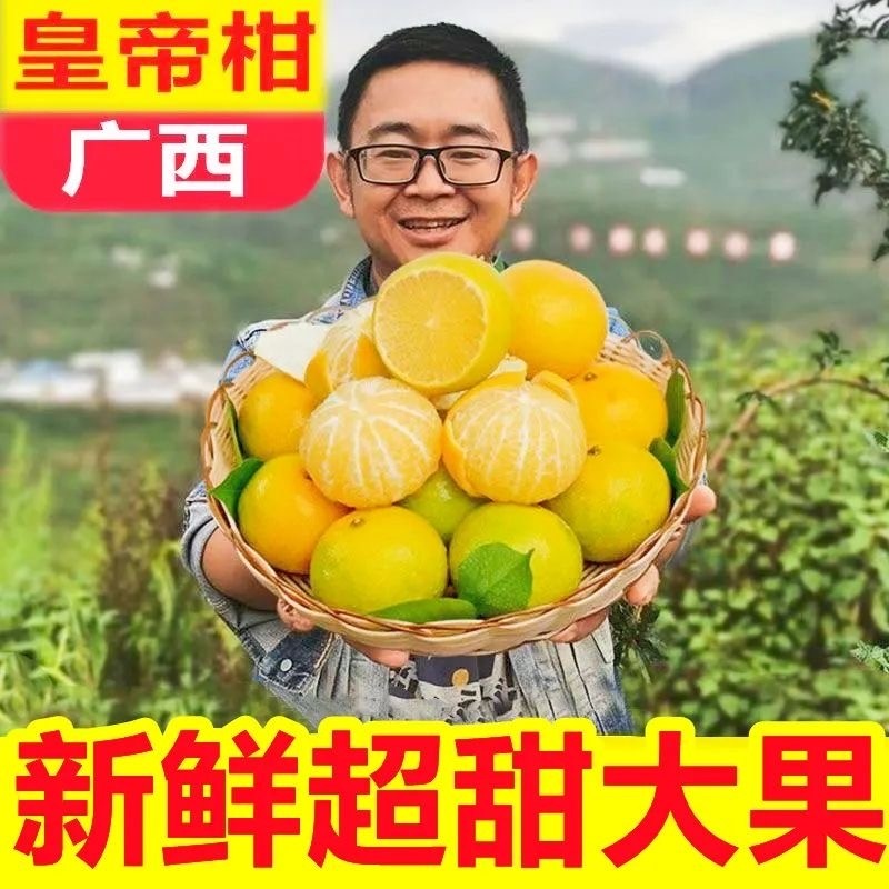 广西皇帝柑新鲜桔子9斤武鸣当季甜孕妇水果正宗包邮5清香现摘采摘,水产肉类/新鲜蔬果/熟食,桔子,淘宝优惠券,粉丝福利购,淘宝优惠卷