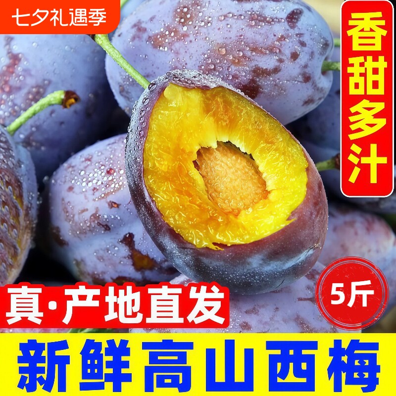 正宗西梅5斤新鲜当季水果四川高山现摘李子大果甜布林整箱包邮