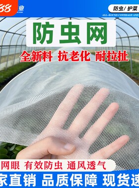 防虫网种菜专用纱网菜地果树大棚院子养殖加厚加密尼龙网防蚊菜园