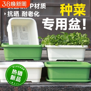 种菜专用箱种菜盆长方形花盆塑料阳台塑料家庭蔬菜种植盆种菜神器