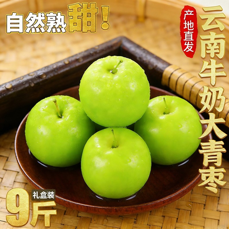 云南牛奶大青枣现摘当季新鲜水果苹果枣贵妃冬枣蜜枣脆甜整箱包邮,水产肉类/新鲜蔬果/熟食,枣,淘宝优惠券,粉丝福利购,淘宝优惠卷