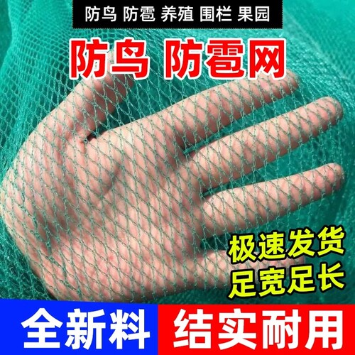果树防鸟网罩嘉宝树无花果防鸟网防冰雹网果园养鸡围栏蔬菜大棚