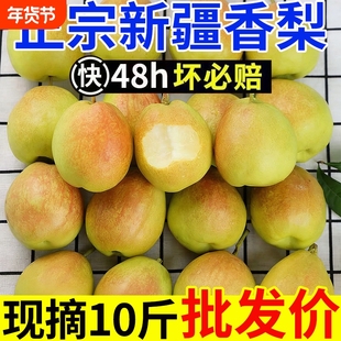 正宗新疆香梨梨新鲜水果梨子库尔勒杂交品种红香酥梨批发年货节