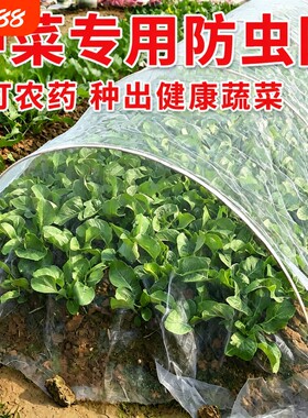 防虫网加厚纱网80目|超1万次加购