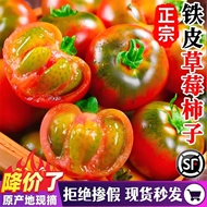 东北铁皮柿子新鲜沙瓤自然熟绿腚