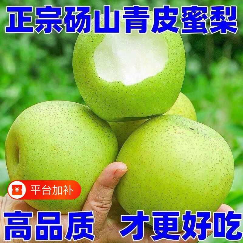 现货正宗砀山青皮梨子翠冠梨翠玉皇冠梨脆甜当季新鲜水果整箱包邮
