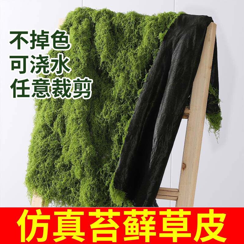 仿真苔藓草皮仿生假苔藓仿真草坪永生假青苔微景观绿植造景假盆景