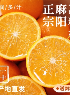 湖南正宗麻阳冰糖橙橙子新鲜10水果整箱果冻冰糖甜橙现摘直供纯甜
