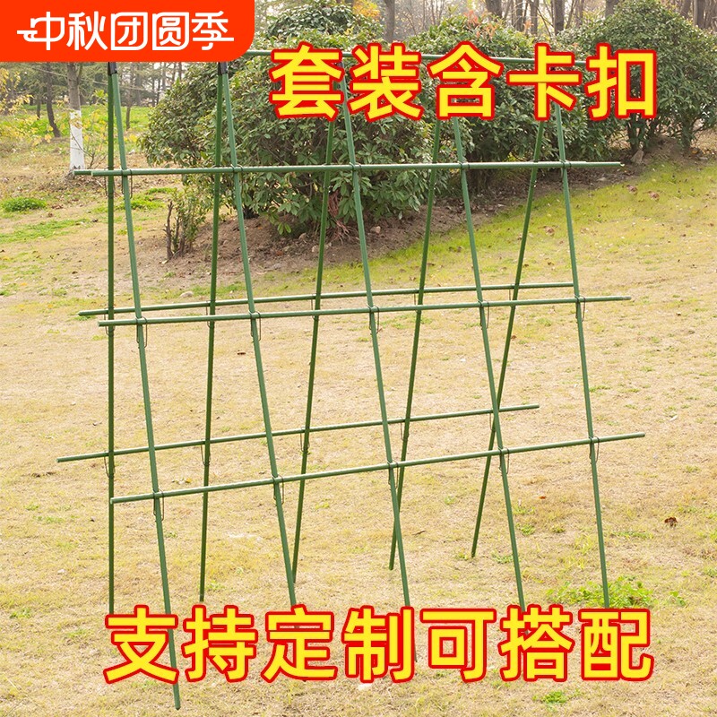 黄瓜爬藤架四季豆角杆蔬菜图片