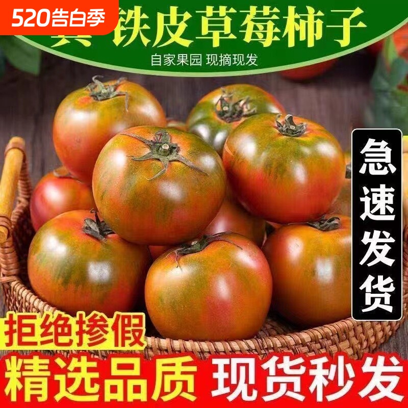 铁皮柿子丹东自然草莓西红柿水果酸甜自家种生吃蔬菜新鲜农场现摘