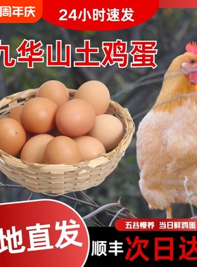 皖南土鸡蛋九华山高山散养土鸡蛋竹林蛋50枚产地直发顺丰包邮
