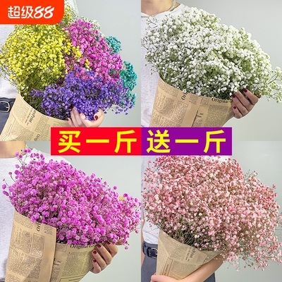 满天星轻奢干花花束客厅摆设装饰摆件云南永生花风干插花真花摆放