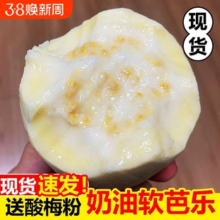 新鲜奶油芭乐低糖水果番石榴鸡屎果白心土芭乐软糯香甜年货节