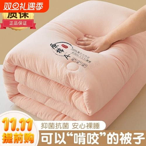 大豆纤维加厚被芯|超5000次加购