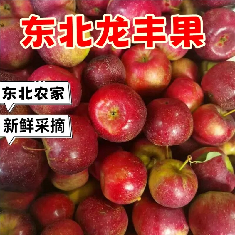 东北龙丰果大秋果新鲜当季水果孕妇水果嘎啦果酸甜应季特产小苹果图片