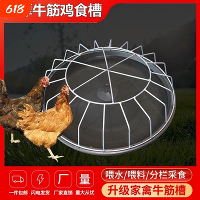 不锈钢特厚鸡食槽|884人收藏