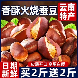 火烧蚕豆云南新炒货原味特产香酥绿心子类下酒菜小零食品酥脆