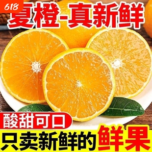 【纤果莱】秭归.当季多汁夏橙净重4.5斤