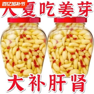 太便宜】枸杞泡姜芽新鲜嫩姜芽爽口酸甜醋泡生姜片泡嫩姜腌制泡菜