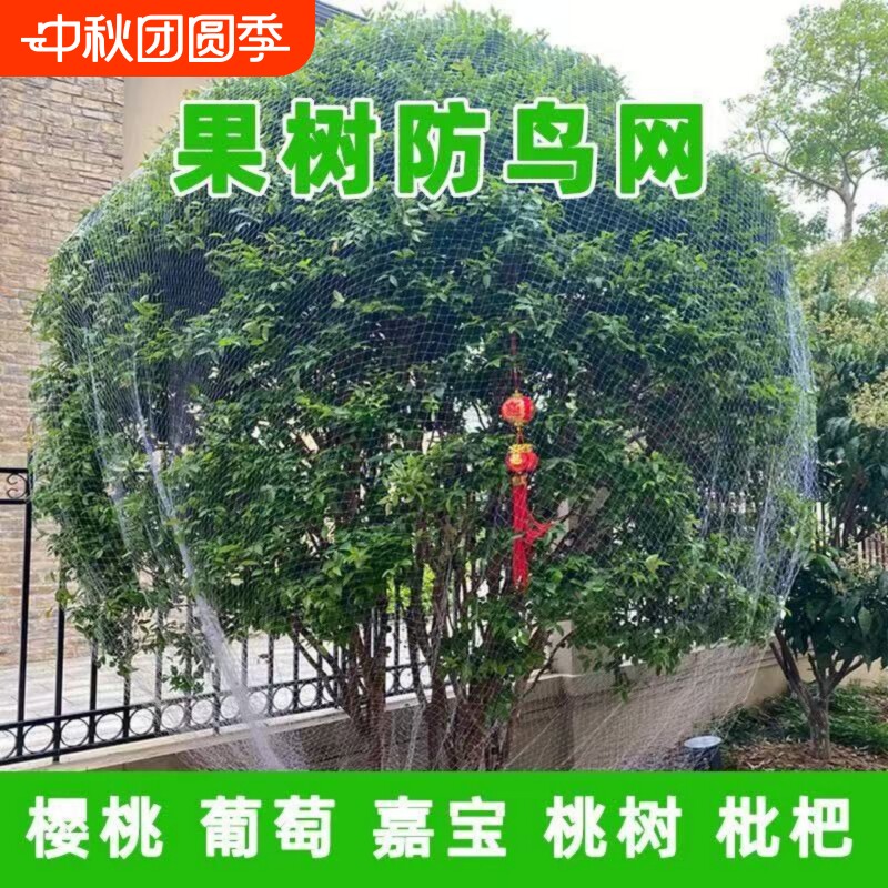 防鸟网果树防鸟罩嘉宝果防小鸟专用尼龙网围网天网防护网阳台葡萄图片