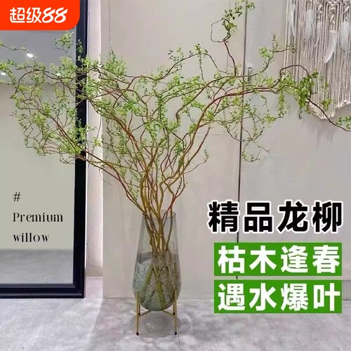 基地直销 新品特惠