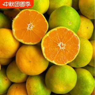 湖北宜昌无籽蜜桔净重5斤