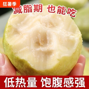 广西软心番石榴白心新鲜应季水果奶油芭乐整箱软糯热带黄金冰淇淋