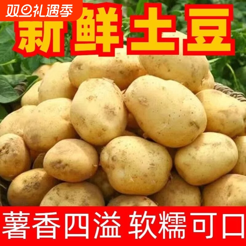 2025年当季新鲜现挖黄心沙面农家土豆高山种植粉糯马铃薯
