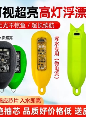 可视高灯浮漂锚鱼夜视无光超亮浑水专用新款不惊鱼全亮浮球高灯