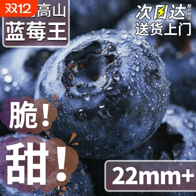 云南高山花香蓝莓丨脆甜爆浆