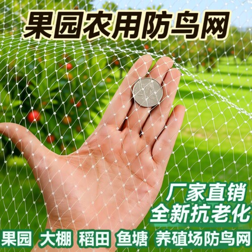 果园防鸟网防护网|超3000次加购