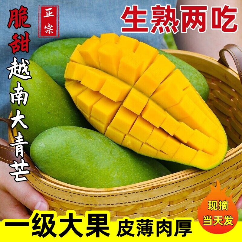 越南大青芒果青皮生吃新鲜水果甜脆芒果花大果型现摘现发10斤包邮