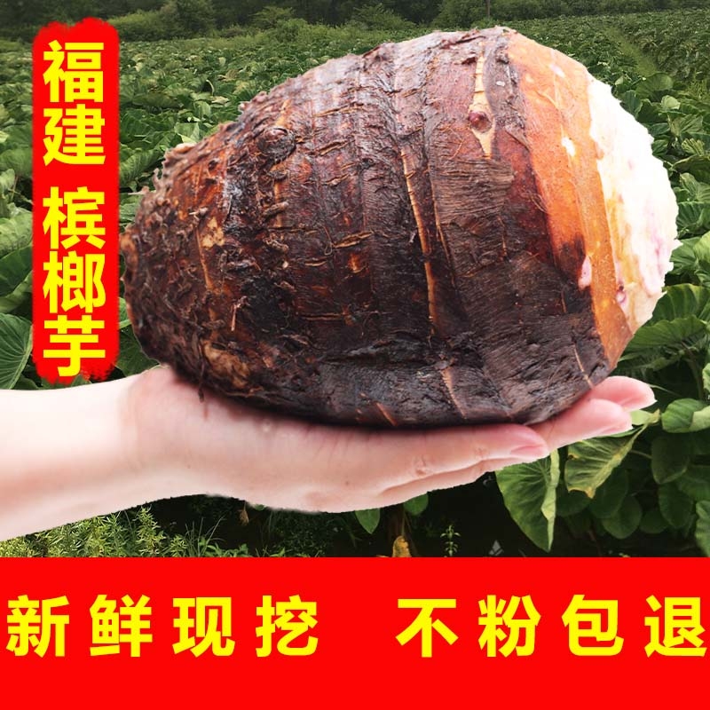 福建大芋头新鲜现挖1斤香芋2斤正宗三九斤小芋头紫藤毛芋头槟榔芋