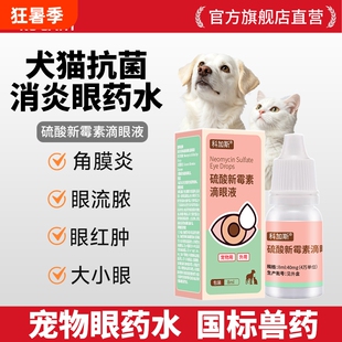 科加斯猫咪眼药水狗狗流泪红肿硫酸新霉素滴眼液宠物消炎药结膜炎