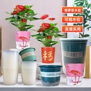 花盆吸水盆自动透明套盆懒人储水盆大号水培塑料专用绿萝双层阳台
