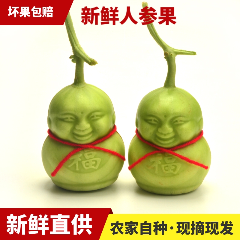 现摘人参果福娃水果人形甜瓜娃娃仙人贡果礼品非云南定型礼品包邮