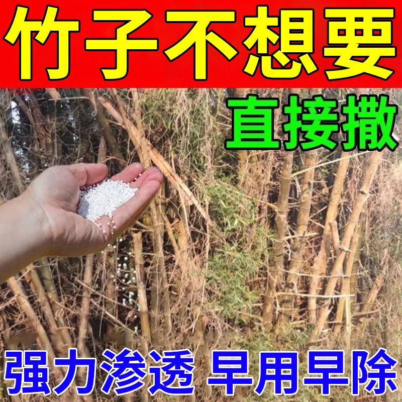 竹子烂根竹倒专用树根连根消强力消竹大树消草消根粉氮磷钾家用