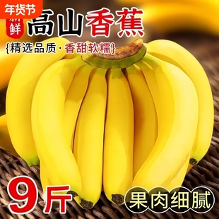 高山大香蕉当季新鲜水果青皮香蕉现摘香甜需催熟甜蕉甜香蕉香甜