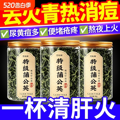 特级蒲公英茶上火清热解去肝火凉茶养肝护肝茶清热降排毒清火生茶