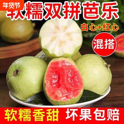 软糯软心双拼芭乐番石榴红心白心现摘现发新鲜当季水果鸡屎果