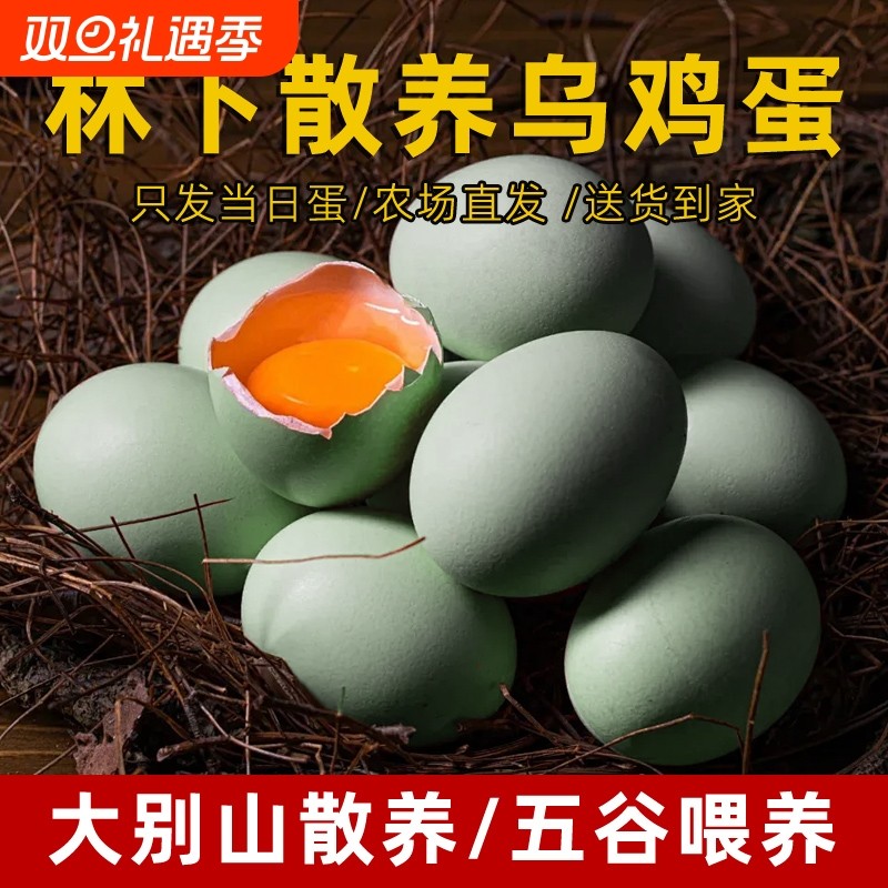 乌鸡蛋农家散养正宗绿壳土鸡蛋