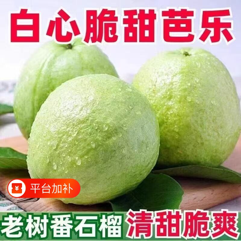 正宗珍珠芭乐白心番石榴硬脆新鲜低脂低糖水果现摘现发应季一整箱