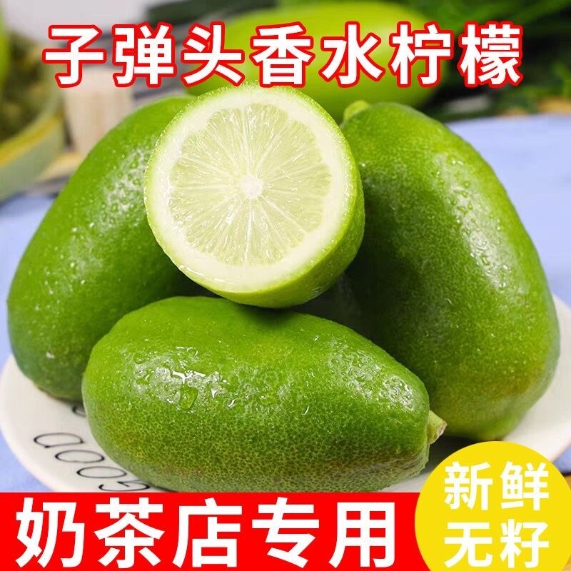 海南无籽子弹头柠檬新鲜正宗青柠檬小青桔奶茶店专用当季香水皮薄